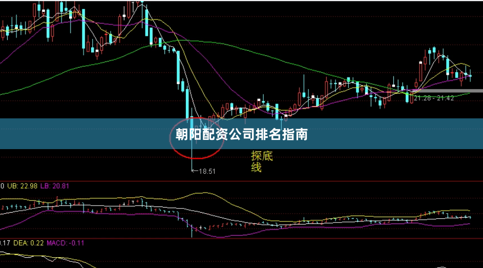 朝阳配资公司排名指南