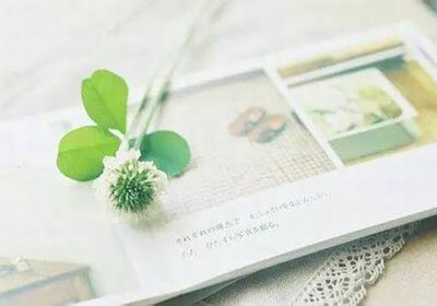 英语通知,策略与技巧